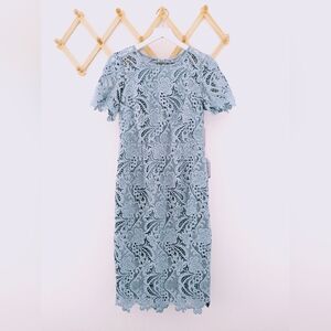 Eliza J Elegant Blue Lace Midi Dress NWT